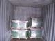 Petit pain/bobine hydrophiles de papier aluminium pour la climatisation de ménage 0.17mm * 100mm